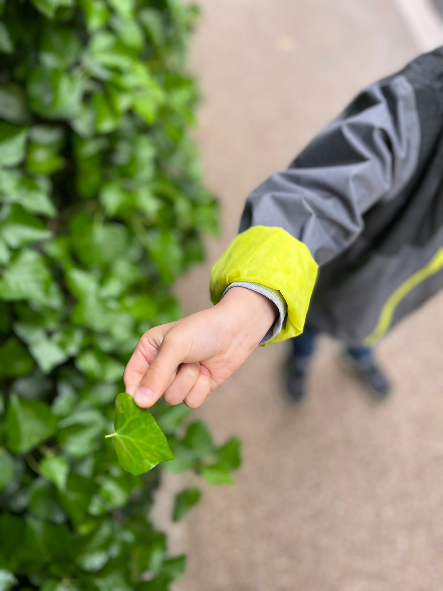 approche-marketing-conscient-garcon-plante-extérieur